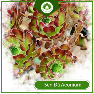 Cách Nhân Giống Và Trồng Cây